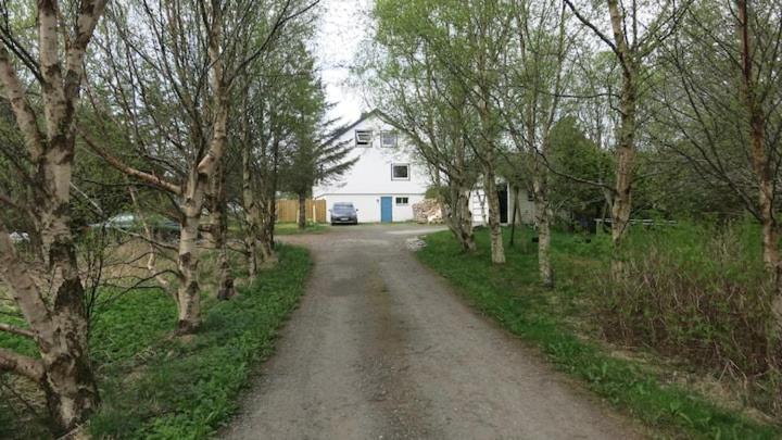 Airbnb And Booking At Postvegen 95 Vigra Buitenkant foto